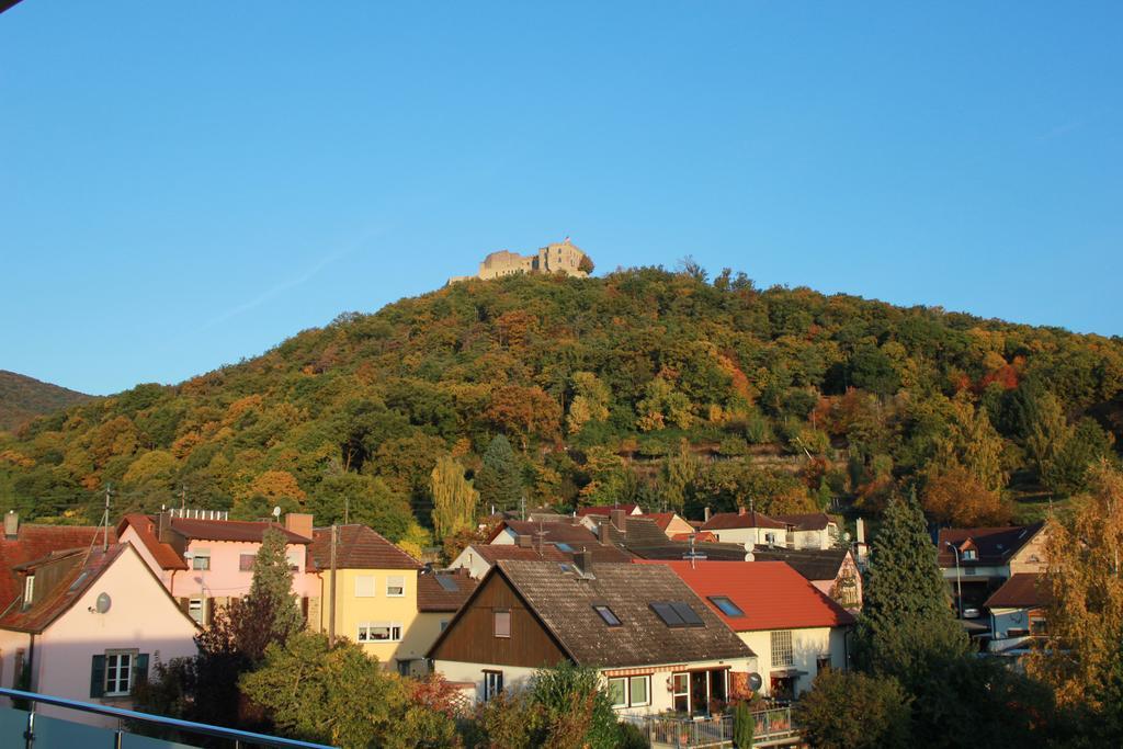 Gaestehaus Rebenhof Hotel Neustadt an der Weinstraße Екстериор снимка